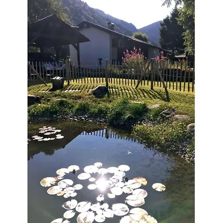 Feldbergblick Appartamento *